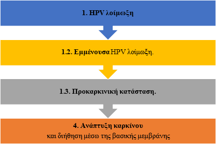 Τεστ Παπ test-pap-diagram