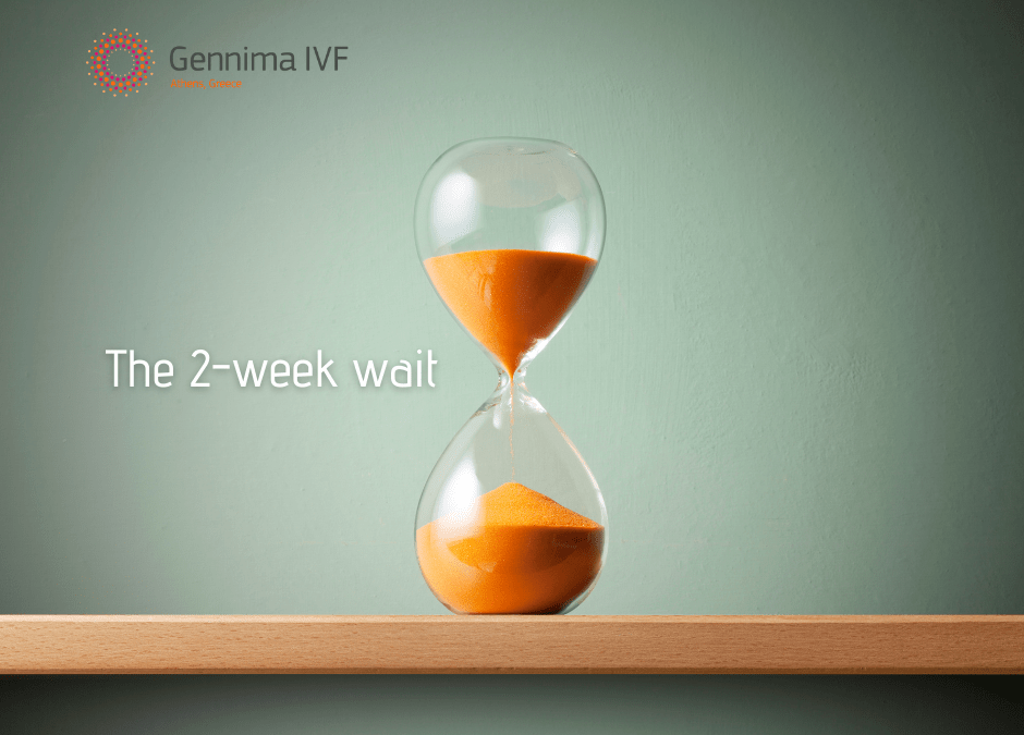 IVF: the “2 week wait”