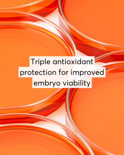 glutathione depletion and autism Gx Media triple antioxidant protection for improved embryo viability